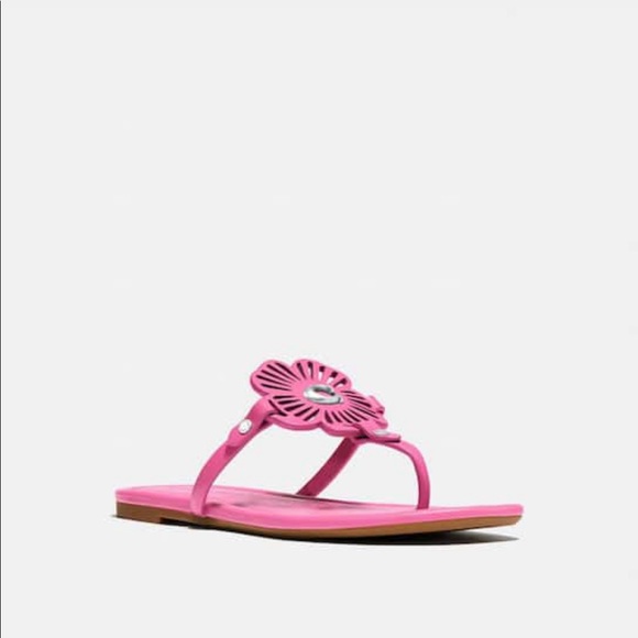 Coach Julia leather sandal - Picture 5 of 10